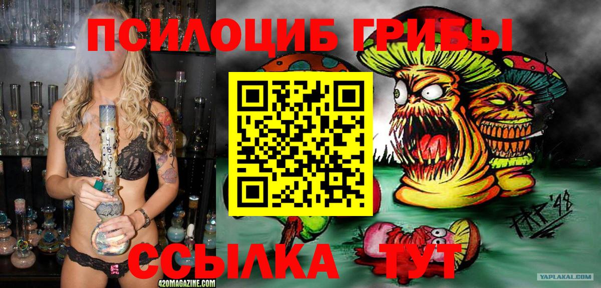 Можга  Псилоцибиновые грибы ЛСД  Вход с VPN 